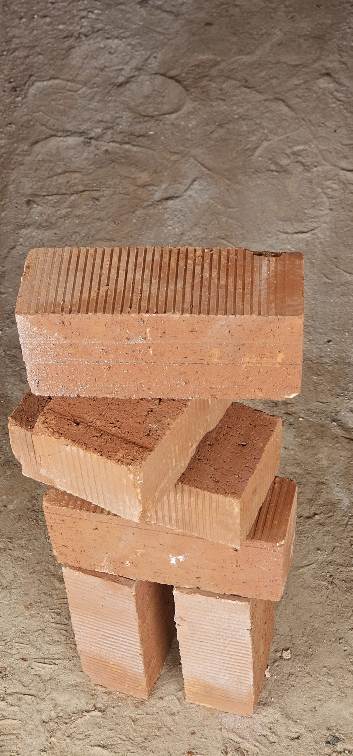 Wire Cut Brick Main